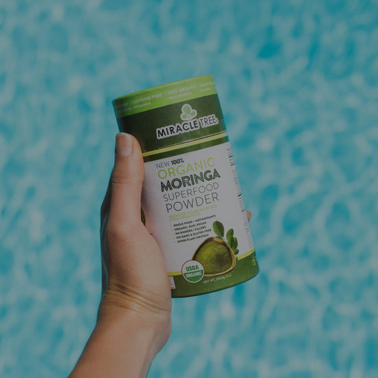 Five Homemade Moringa Powder Uses | Miracle Tree