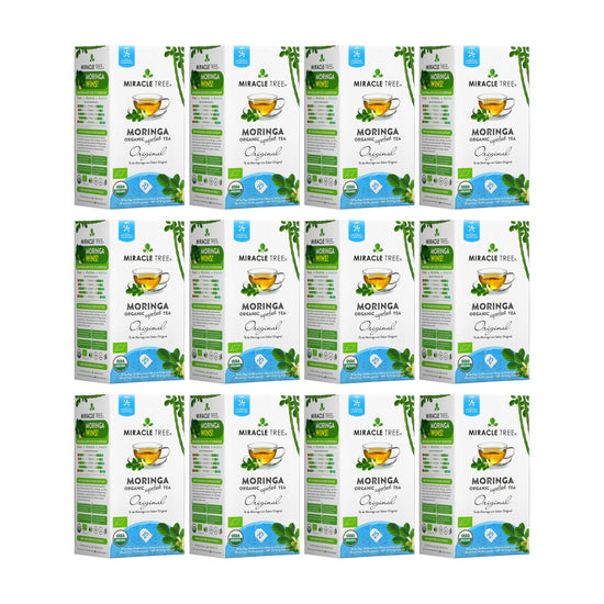 Té de Moringa Orgánico - Original - Sin Cafeína - Pack de 12 (300 bolsitas) - Frente de la caja