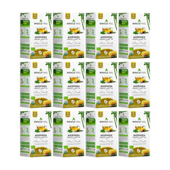 Bio-Moringa-Tee - Honig & Vanille - Koffeinfrei - 12er-Pack (300 Teebeutel) - Vorderseite der Schachtel