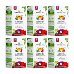 Té de Moringa Orgánico - Hibisco - Sin Cafeína - Pack de 6 (150 bolsitas) - Frente de la caja
