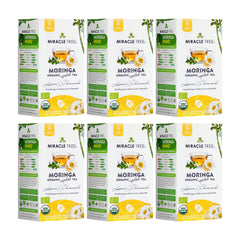 Chá de Moringa Orgânico - Limão e Camomila - Chá de Ervas sem Cafeína - Kit com 6 (150 sachês de chá) - Frente da caixa
