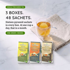 Organic Moringa Energy Tea Bundle - Oomph Set - 3 Flavors - Value
