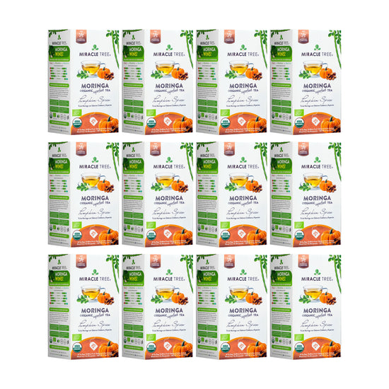Chá de Moringa Orgânico - Abóbora com Especiarias - Chá de Ervas sem Cafeína - Kit com 12 (300 sachês de chá) - Frente da caixa