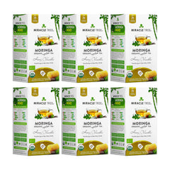 Bio-Moringa-Tee - Honig & Vanille - Koffeinfrei - 6er-Pack (150 Teebeutel) - Vorderseite der Schachtel