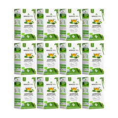 Organic Moringa Tea - Green Tea - Decaffeinated Herbal Tea - Pack of 12 (300 tea bags) - Front of box