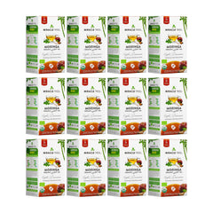 Té de Moringa Orgánico - Manzana y Canela - Sin Cafeína - Pack de 12 (300 bolsitas) - Frente de la caja