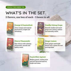 Organic Moringa Energy Tea Bundle - Starter Set - 5 Flavors - What's in the set