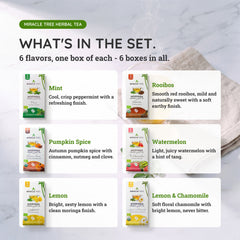 Organic Moringa Tea Bundle - Starter Set - 6 Flavors - What's in the set
