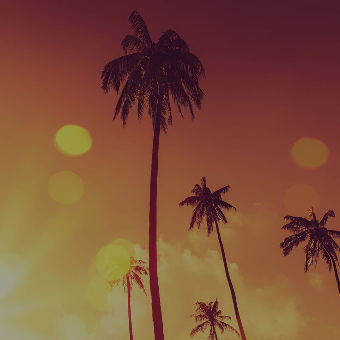 Privacy Notice for California Residents | Miracle Tree