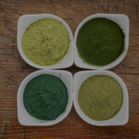 How Many Amino Acids Are There in Moringa?