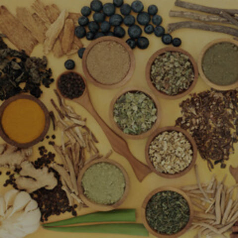 Moringa for Your New Year's Detox