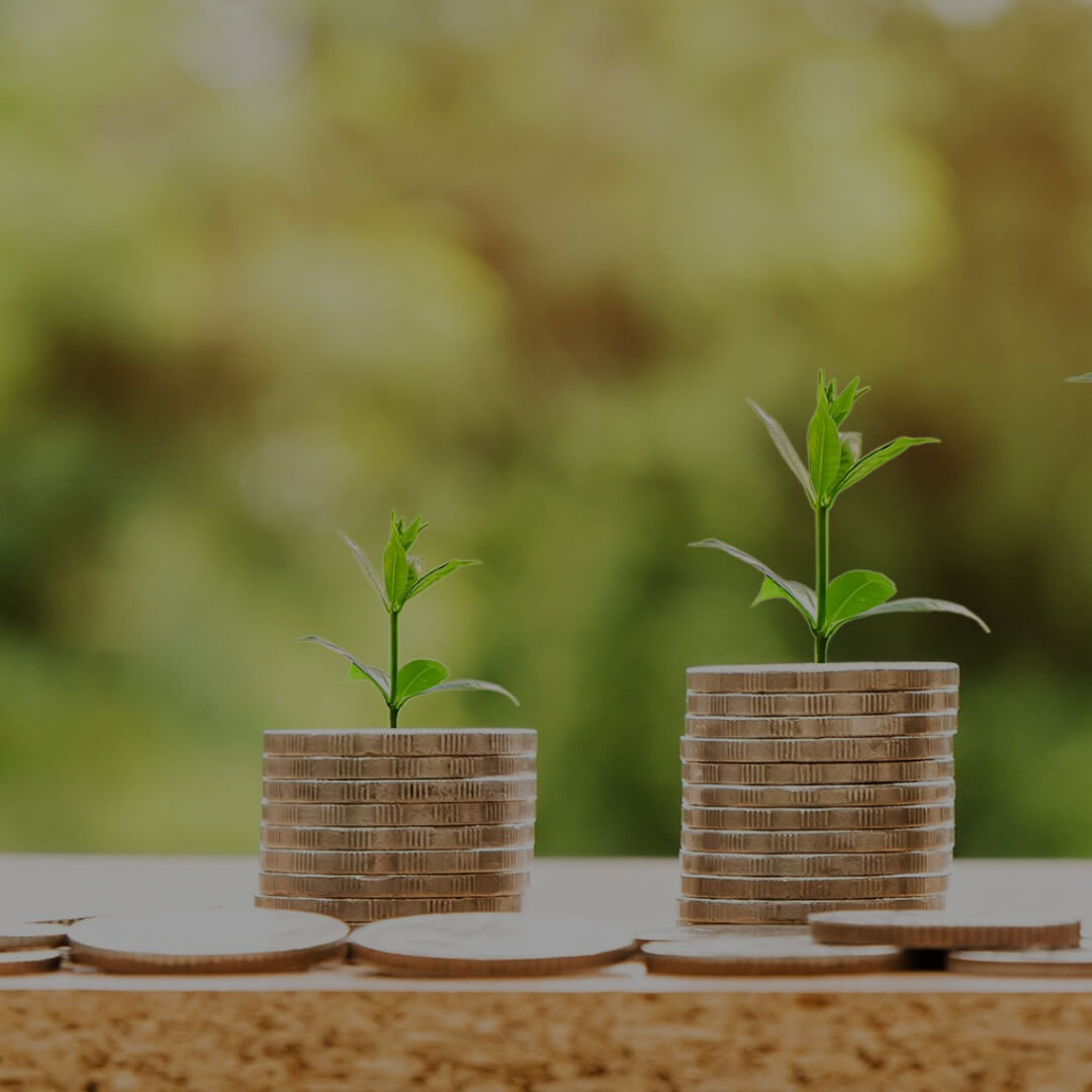 Multipack Savings Program