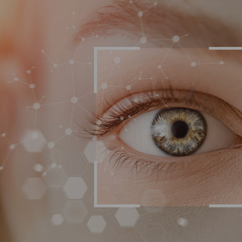 Moringa Potential Benefits for Eye Health and Blurry Vision