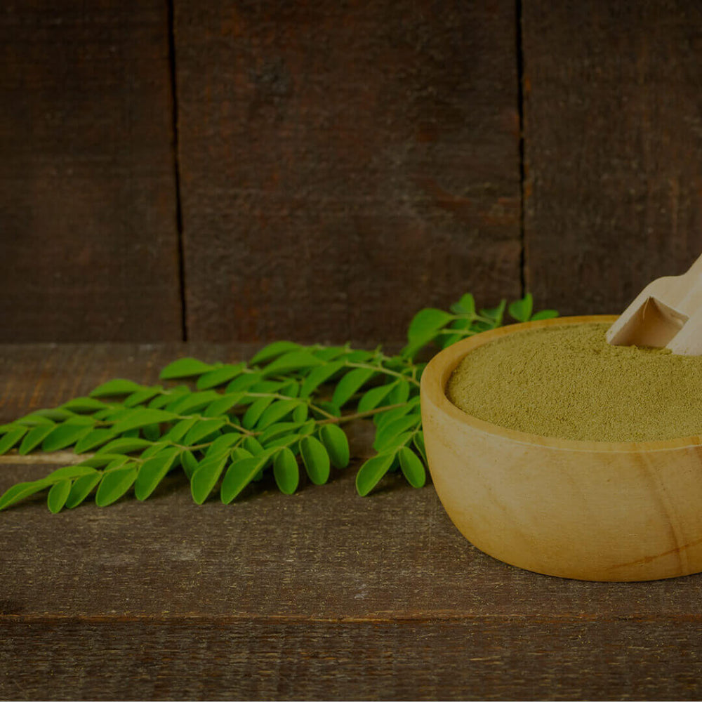 Moringa Oleifera Superfood: Why You Should Be Taking It