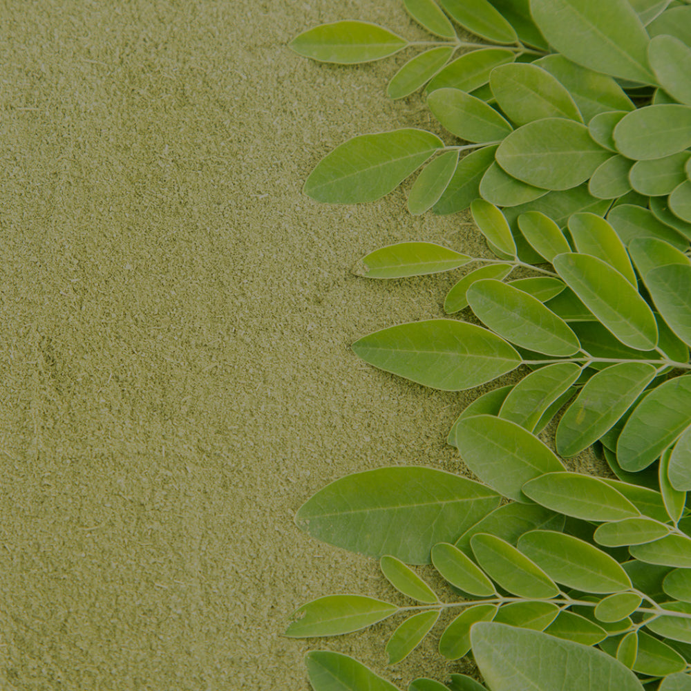 What Makes Moringa The Superfood Of Superfoods?
