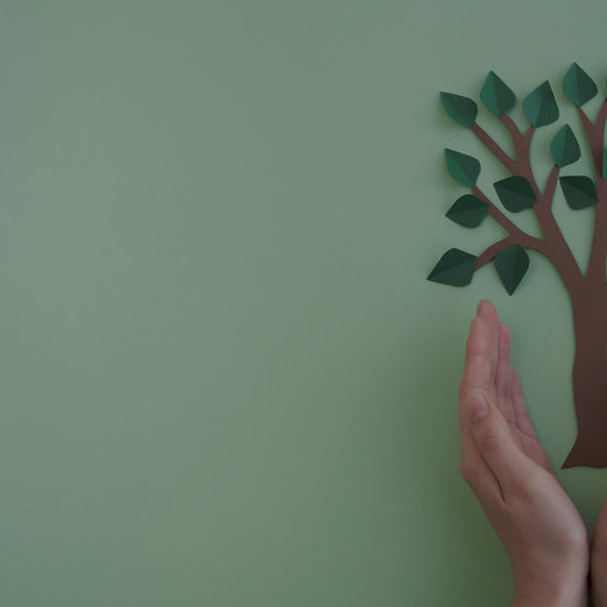 Why Should You Choose A Flexitarian Lifestyle This Earth Hour Day