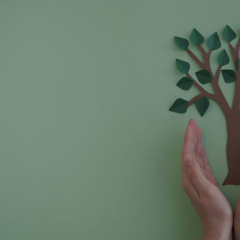 Going Flexitarian for Earth Hour Day