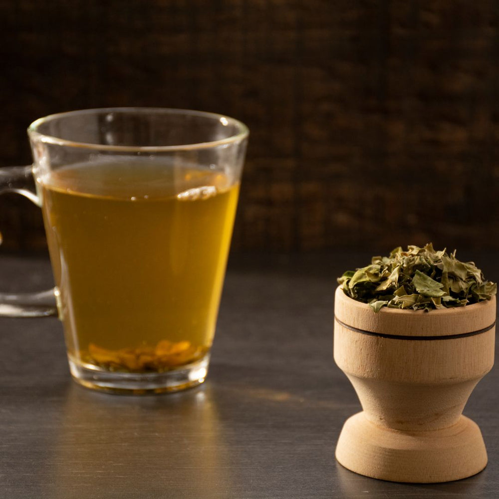National Hot Tea Month: Discovering Moringa Tea Varieties