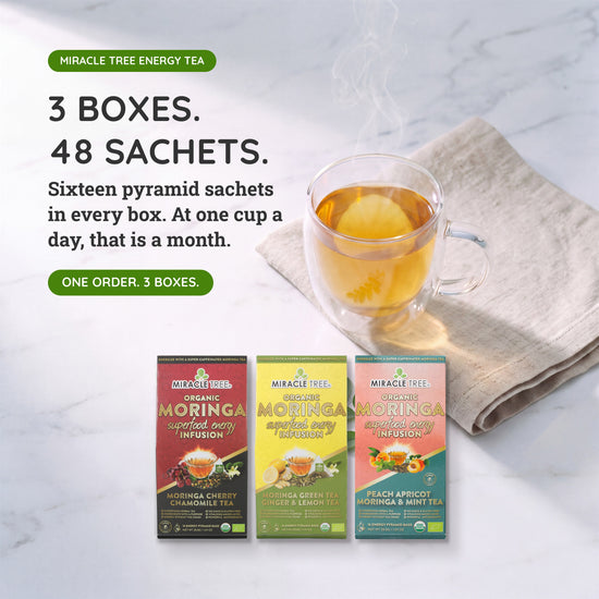 Organic Moringa Energy Tea Bundle - Spark Set - 3 Flavors - Value