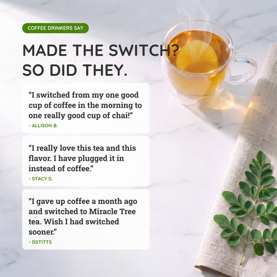 
                    
                      Organic Moringa Energy Tea Bundle - Verve Set - 3 Flavors - Why people switched
                    
                  