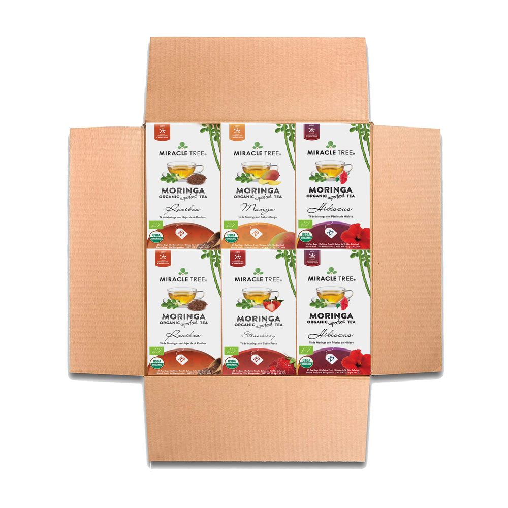 Herbal Moringa Tea Starter Set, 6 Boxes