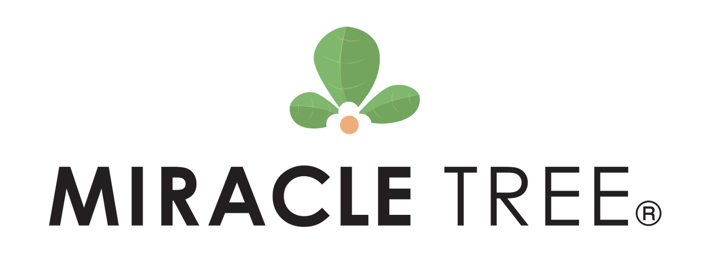 Exploring October: Understanding Moringa's Antioxidant Benefits ...