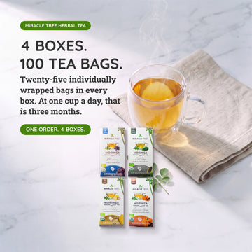 Organic Moringa Tea Bundle - Serenity Set - 4 Flavors - Value