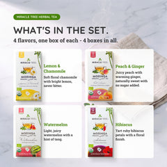 
                    
                      Organic Moringa Tea Bundle - Life Set - 4 Flavors - What's in the set
                    
                  