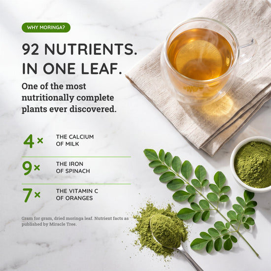 
                    
                      Chá de Moringa Orgânico - Pêssego e Gengibre - Chá de Ervas sem Cafeína - Por que moringa
                    
                  