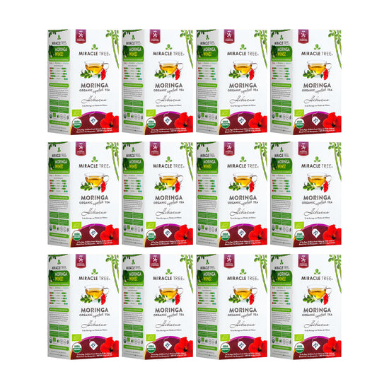 
                    
                      Chá de Moringa Orgânico - Hibisco - Chá de Ervas sem Cafeína - Kit com 12 (300 sachês de chá) - Frente da caixa
                    
                  
