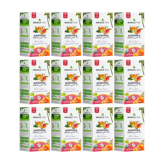 
                    
                      Chá de Moringa Orgânico - Pêssego e Gengibre - Chá de Ervas sem Cafeína - Kit com 12 (300 sachês de chá) - Frente da caixa
                    
                  