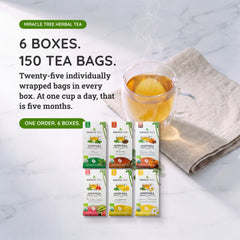 
                    
                      Organic Moringa Tea Bundle - Starter Set - 6 Flavors - Value
                    
                  