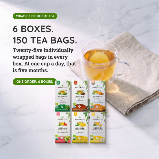 Organic Moringa Tea Bundle - Starter Set - 6 Flavors - Value