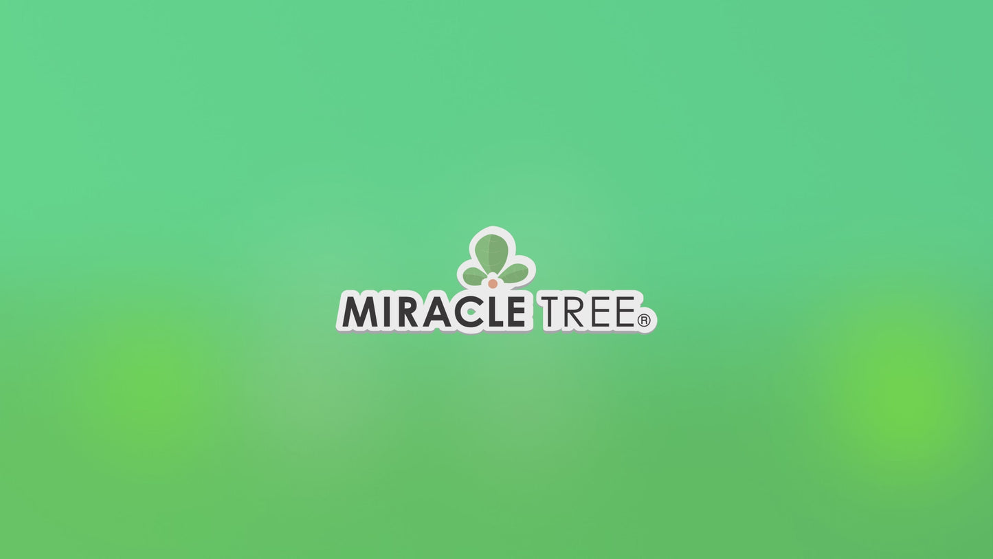 Moringa Energy Tea for a energy without jitters or crash!