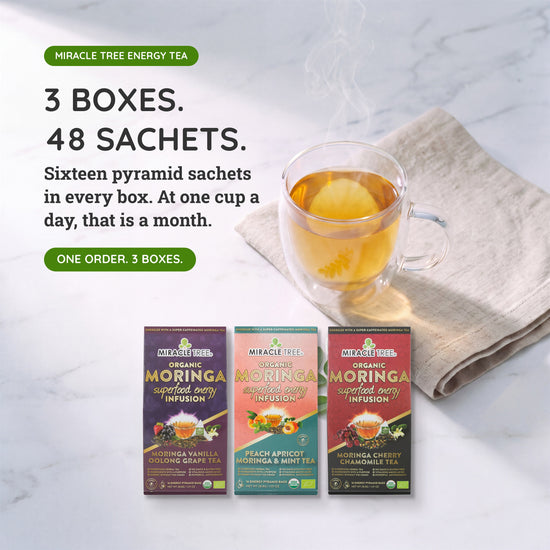 Organic Moringa Energy Tea Bundle - Verve Set - 3 Flavors - Value