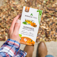 
                    
                      Té de Moringa Orgánico - Calabaza Especiada - Sin Cafeína - Estilo de vida
                    
                  